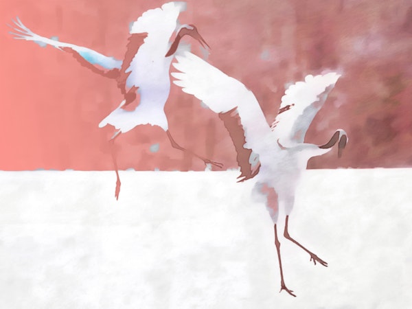 Watercolor Love Bird Cranes