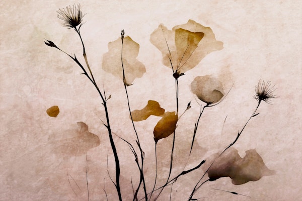 Moody Watercolor Flowers