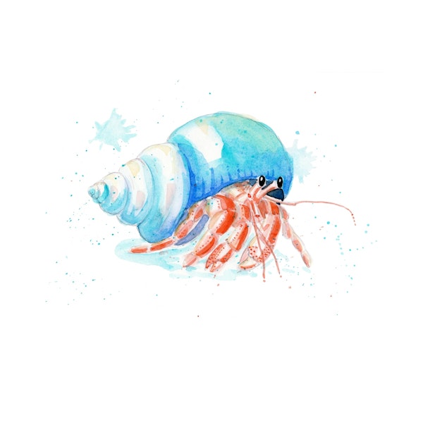coastal watercolor hermit crab