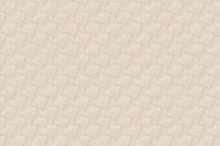 Japandi Palm Scallops 1 tapetit