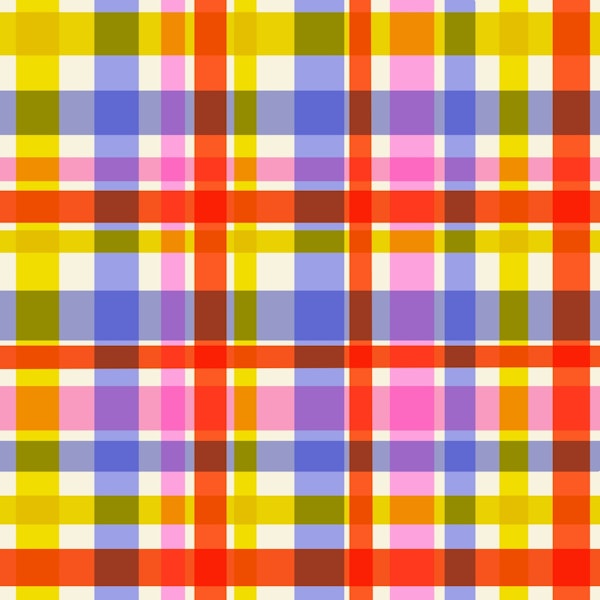 Bright Happy Gingham Check Plaid