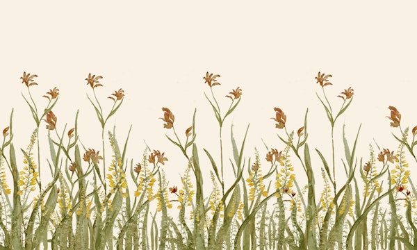 Flower meadow a botanical watercolor mural