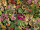 Snake Princess Fantasy Jungle Garden Black