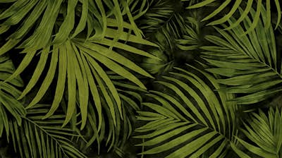 Τοιχογραφία