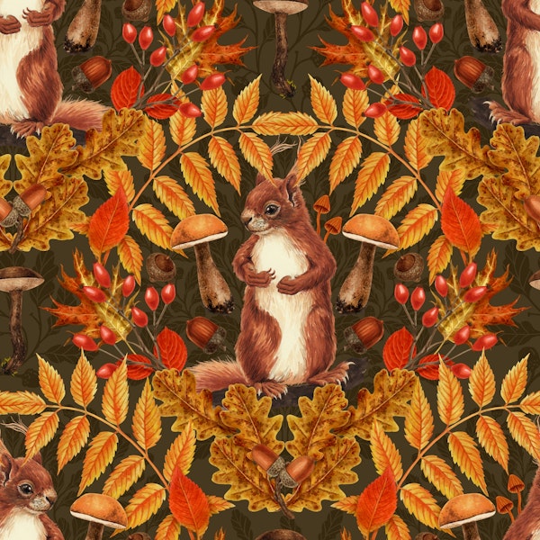 Autumn squirrel on dark brown