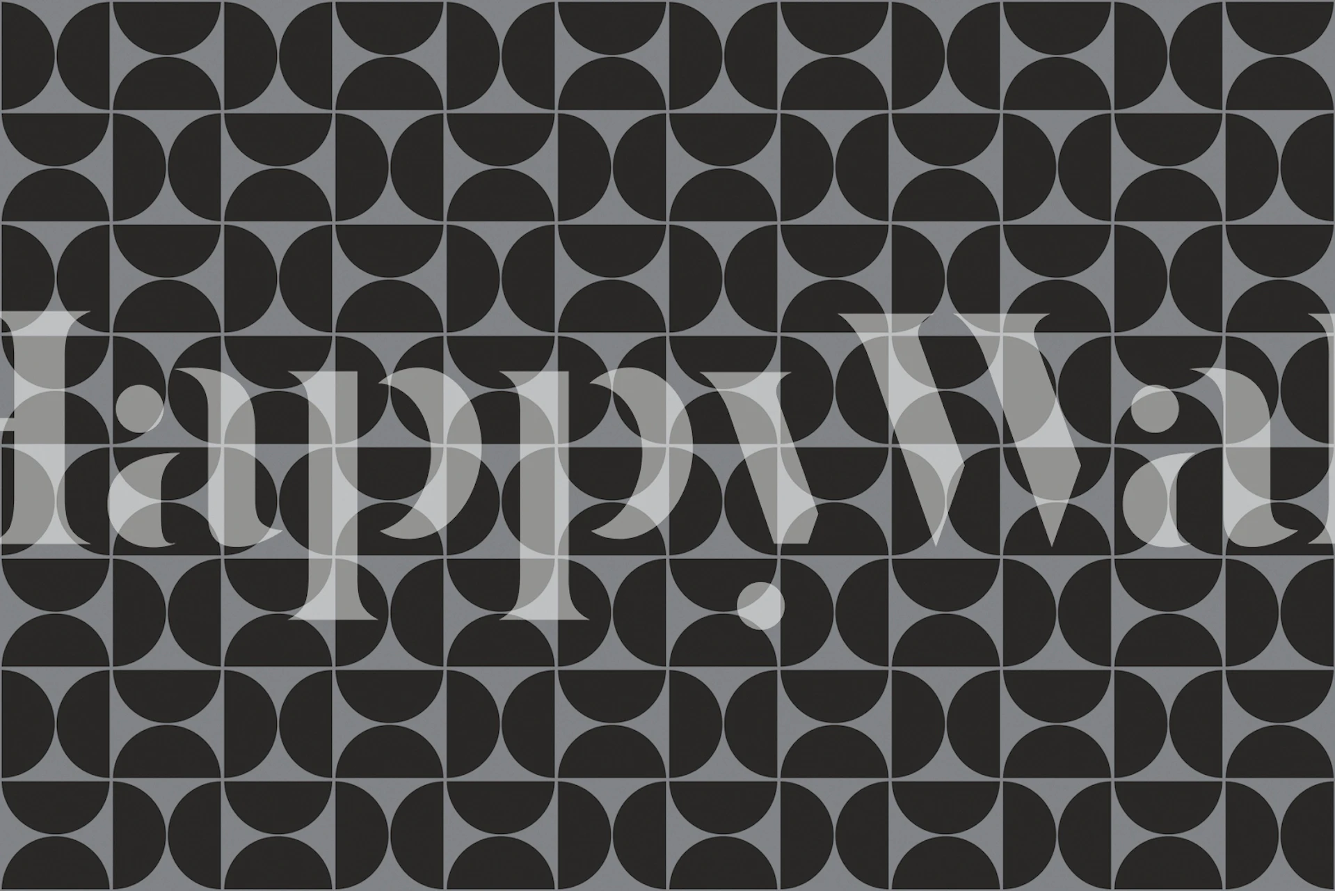 Abstract curved shapes in black and gray wallpaper