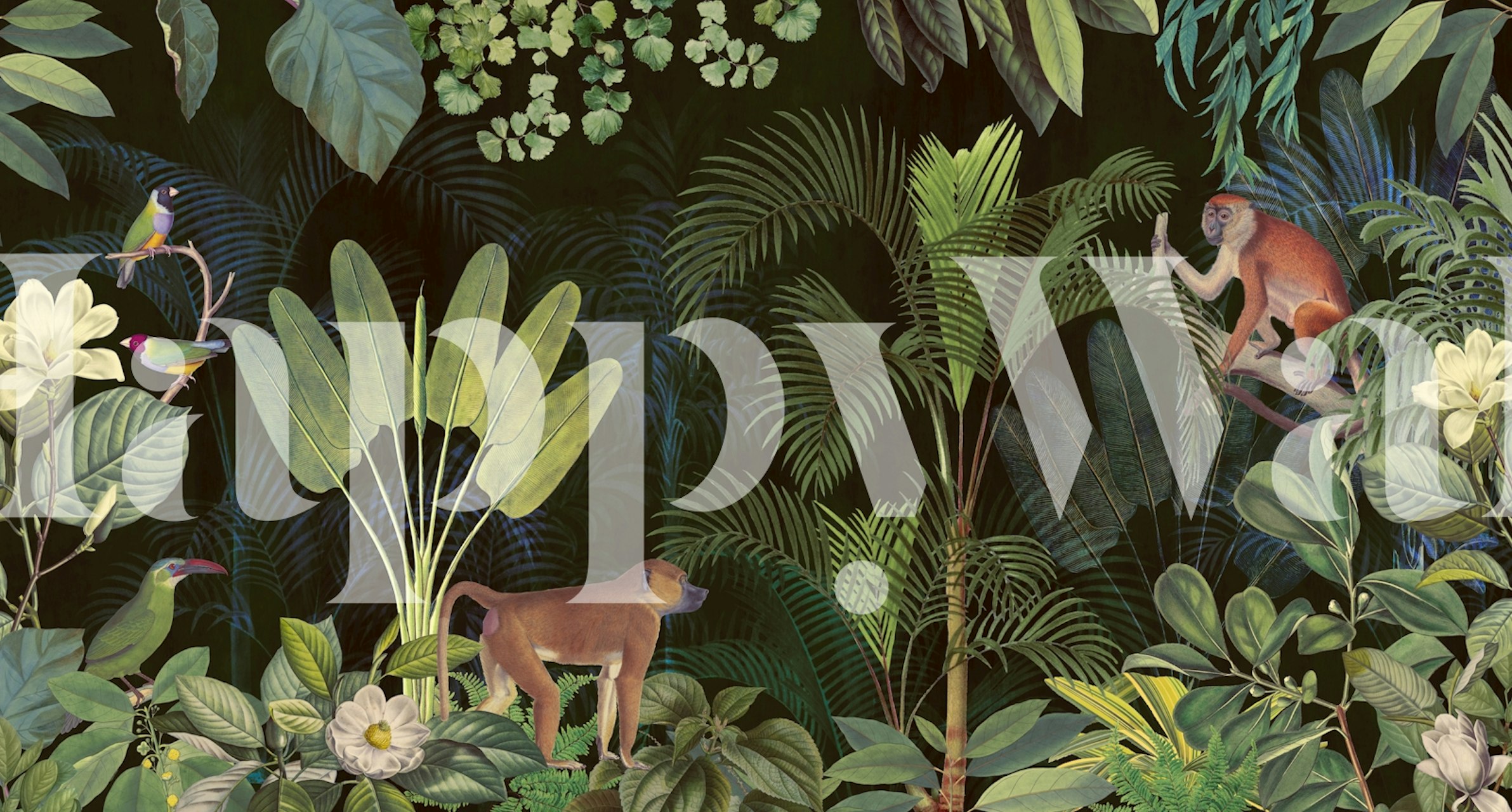 Tapeta Moody Jungle Tropical Wildlife v pokoji