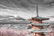 Mount Fuji and pagoda at cherry blossom