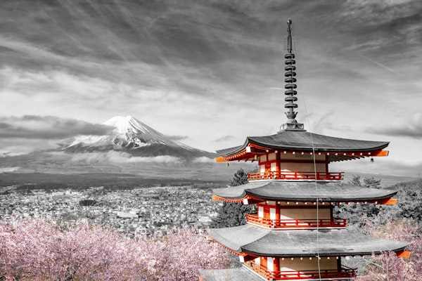 Mount Fuji and pagoda at cherry blossom