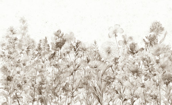Beautiful Wildflowers Meadow - Sepia