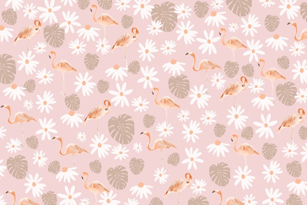 Flamingo Monstera Daisy Dream 3