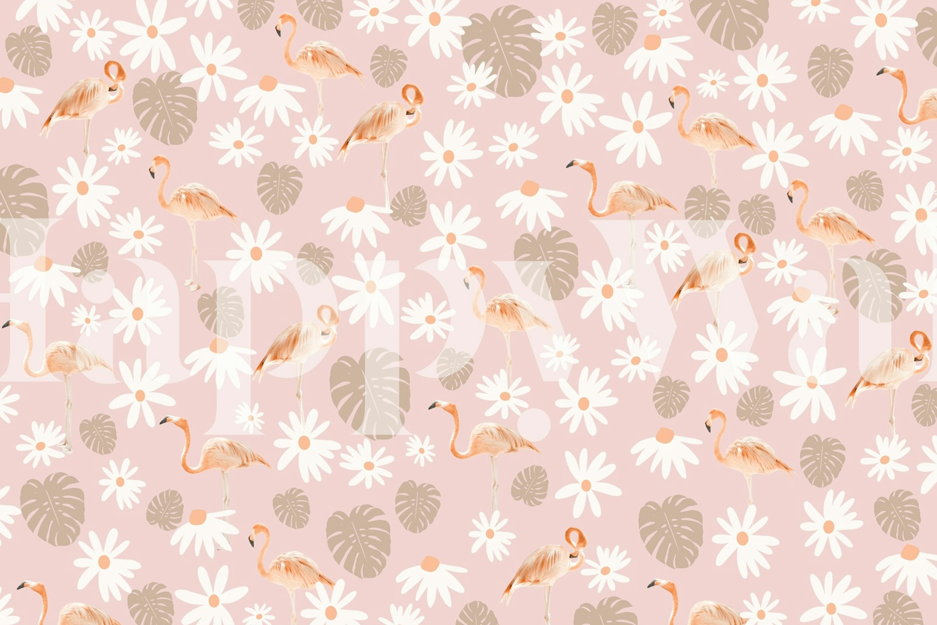 Flamingos, daisies, and monstera leaves on pink wallpaper