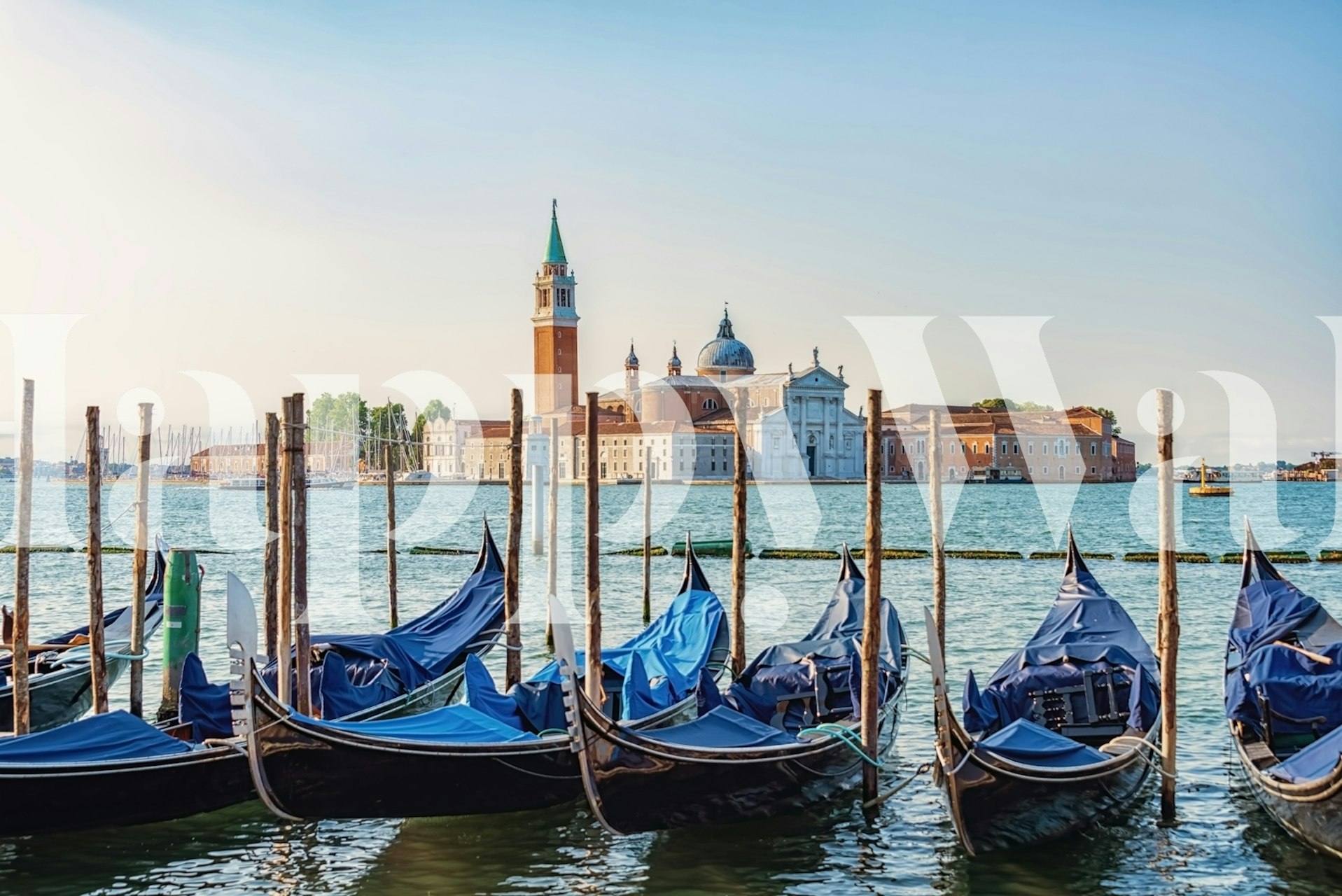 Venice City wallpaper in a room