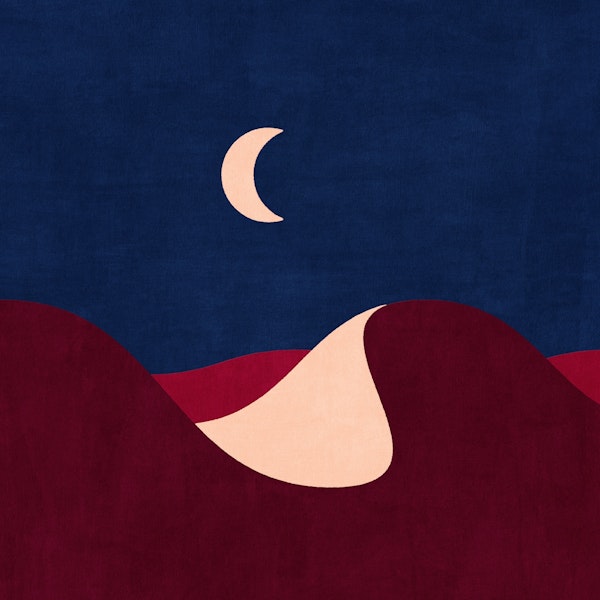 LANDSHAPES - Desert - night