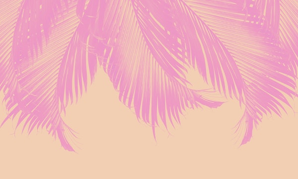 Palm Leaves Finesse 7