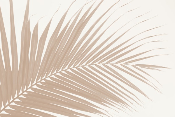 Lush Caribbean Palm in Warm Beige 1