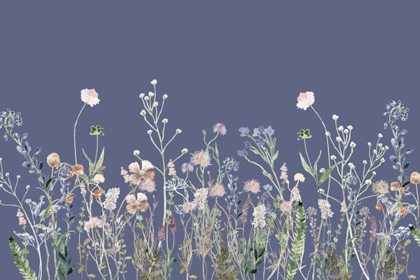 WILDFLOWER MEADOW COTTAGE BLUE