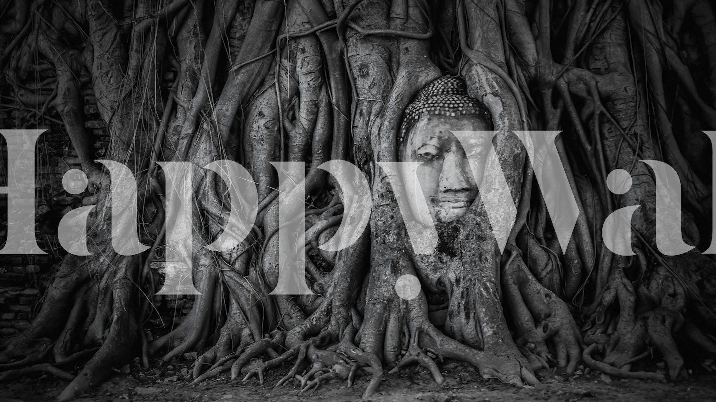 Buddha head surrounded by tree roots