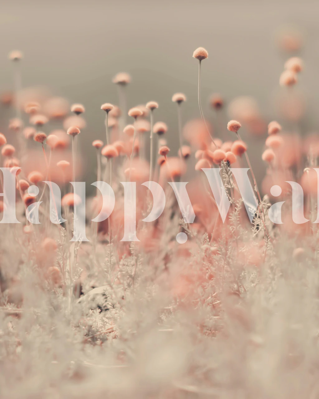 Pink wildflower wallpaper with delicate floral patterns