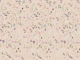 WILDFLOWERS BLUSH & BEIGE