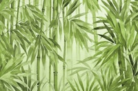 Tropical Bamboo Forest Lush Green ταπετσαρία