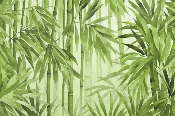 Tropical Bamboo Forest Lush Green