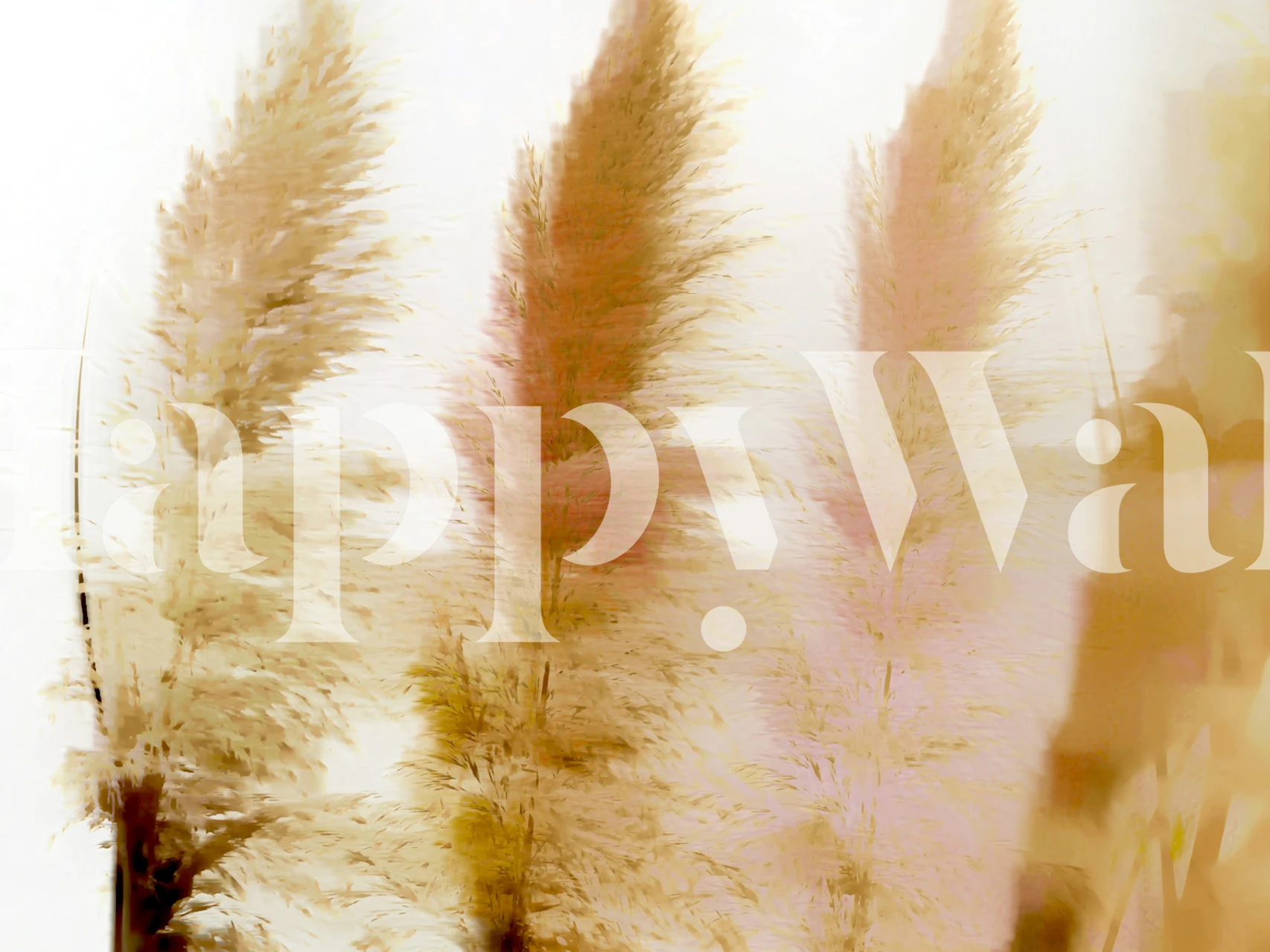 Pampas grass in soft shades of pink and beige wallpaper