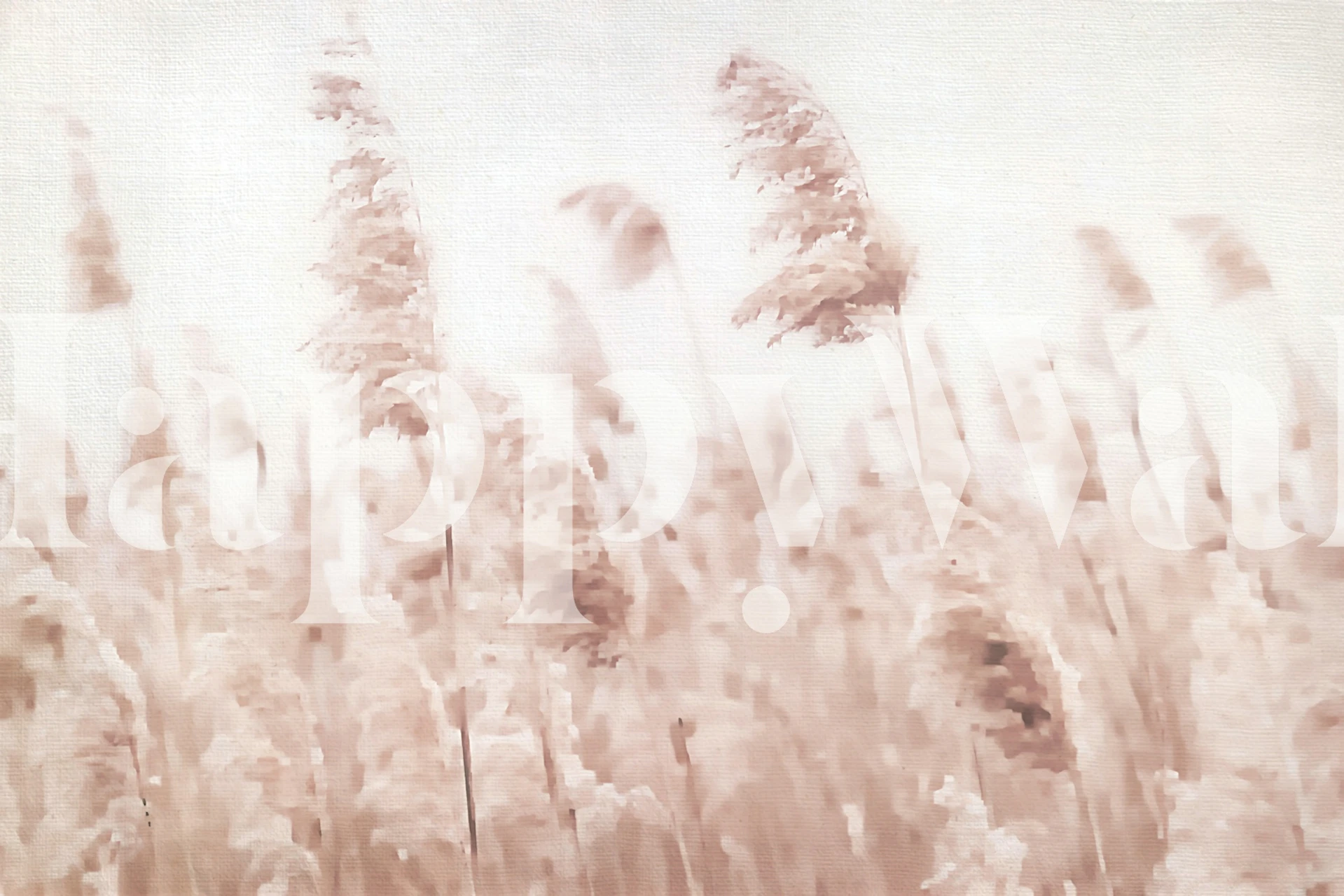 Pampas grass in soft blush tones on textured wallpaper
