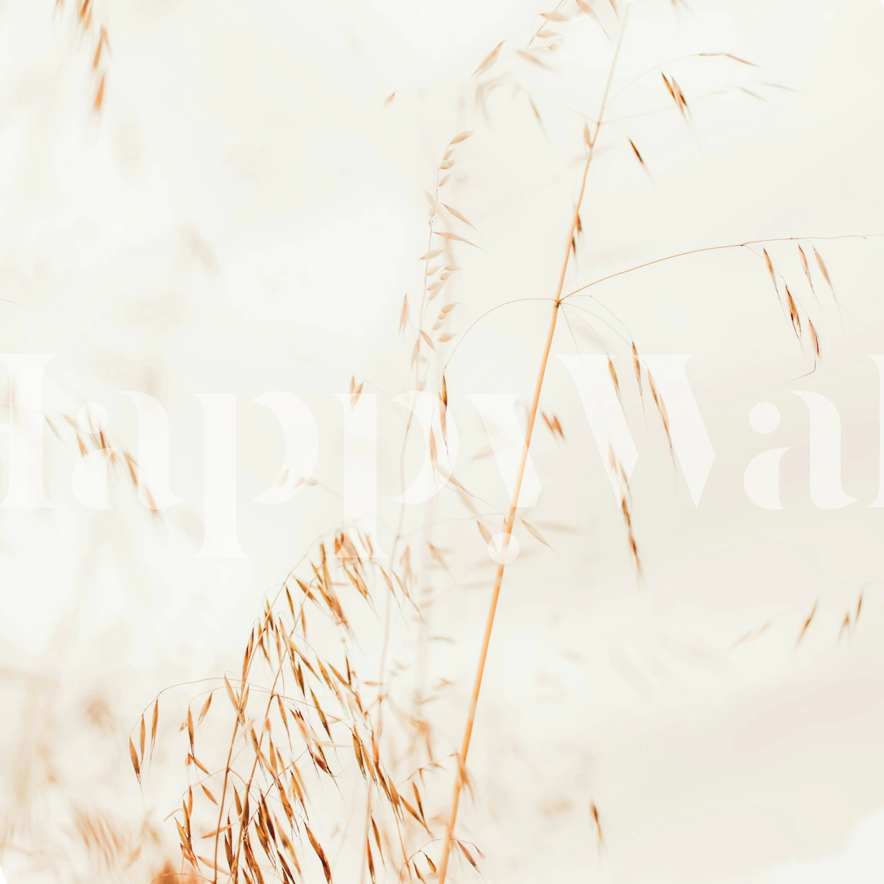 Meadow Wild Grasses in einem Raum