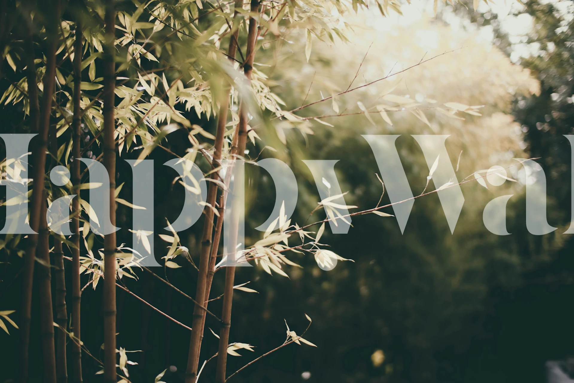 Bamboo leaves design with emerald green tones wallpaper