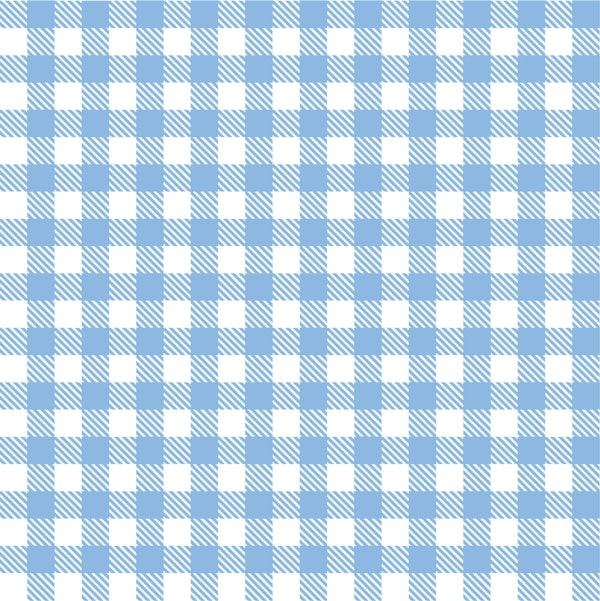 Light Summer Blue Checks