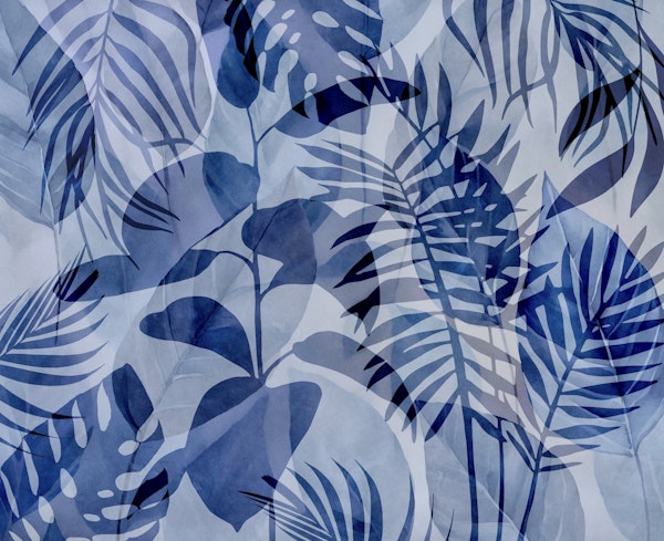 Blue Jungle Palm Cove