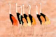 Warm Japanese Cranes
