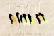 Modern Pastel Japanese Cranes