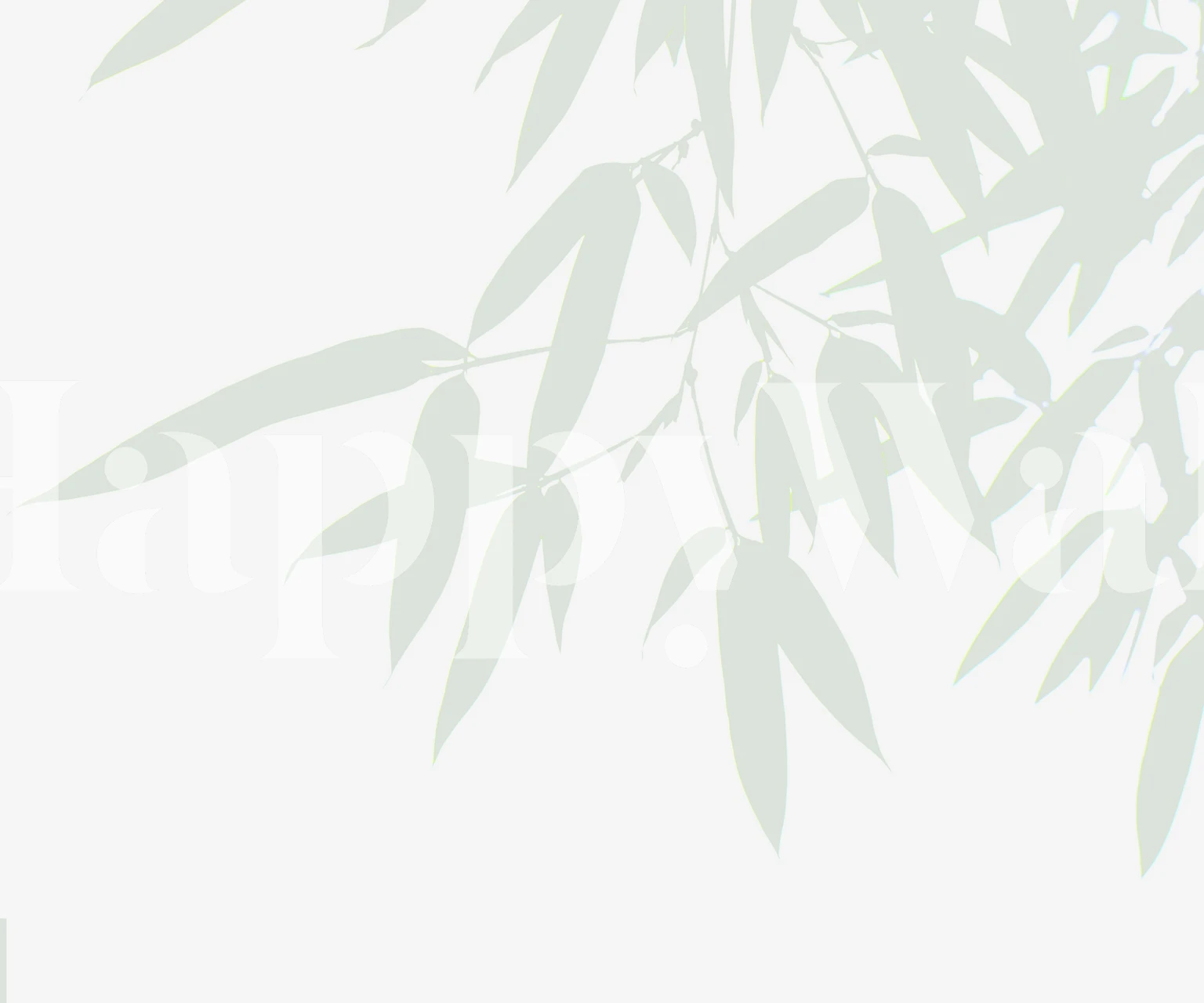 Bamboo leaves in soft green on a white background wallpaper