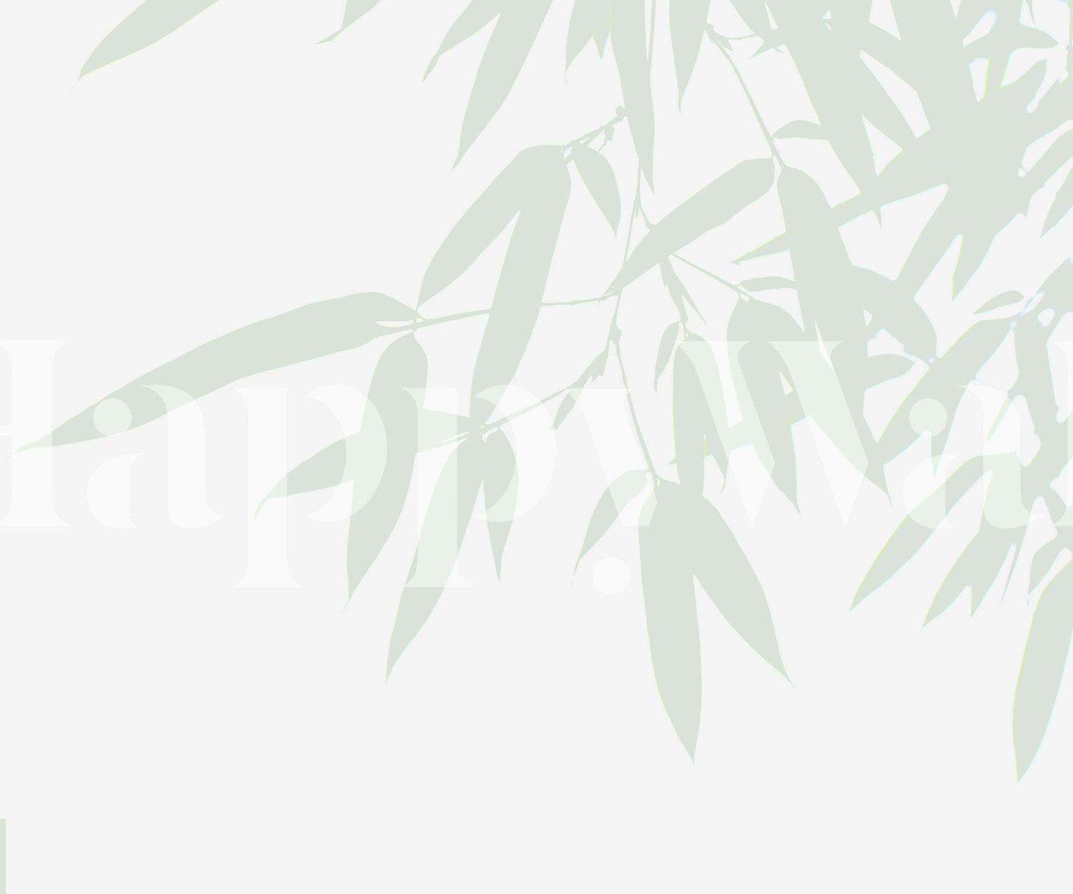 Bamboo leaves in soft green on a white background wallpaper