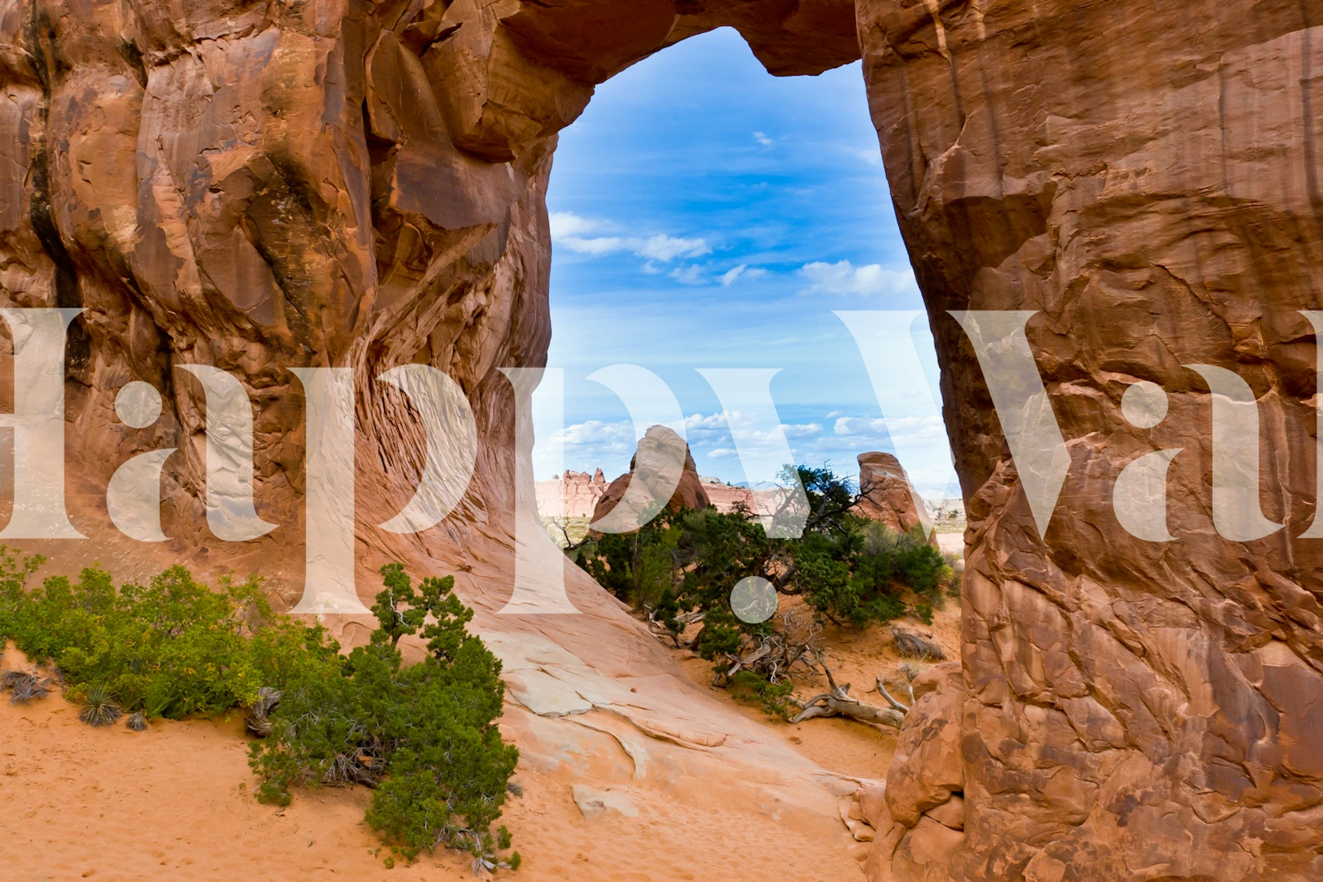 Pine Tree Arch wallpaper in a room