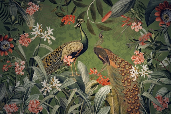 Green Peacock Tropical Night Garden