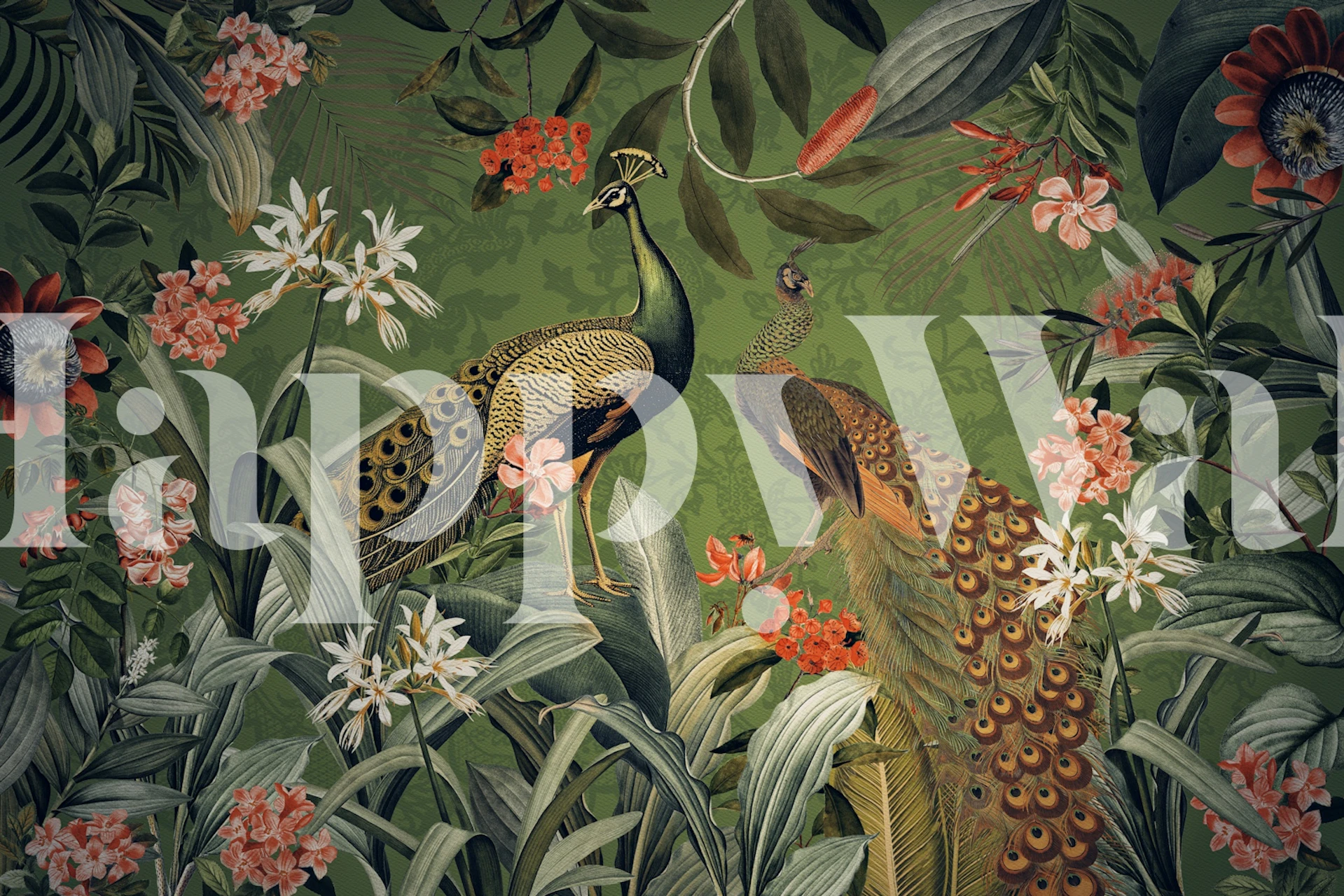 Groene Pauw in een tropische tuin muurschildering