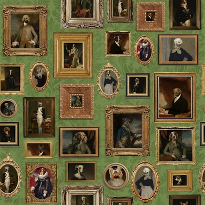 Pattern