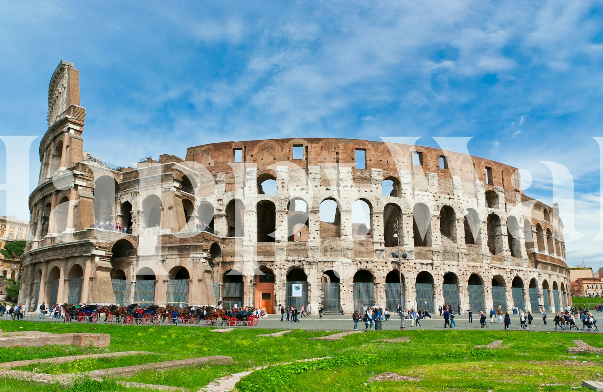 Colosseum Wallpaper in a Styled Room