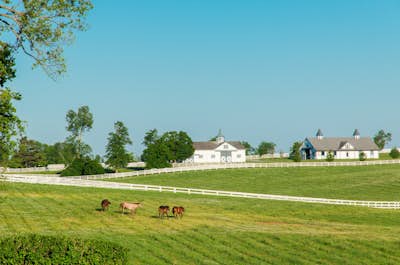 Τοιχογραφία