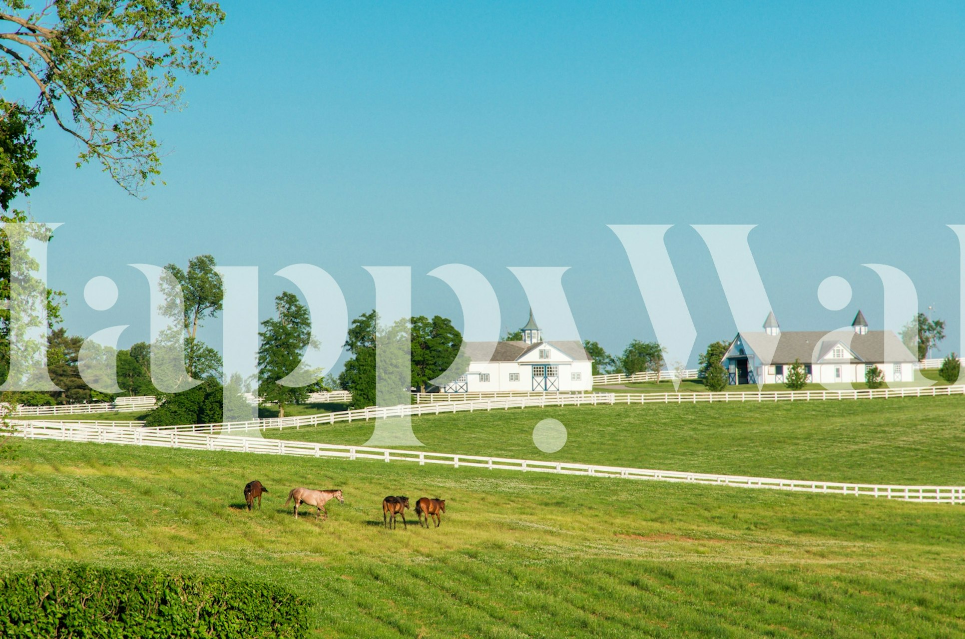 Green pastures with horses σε ένα δωμάτιο