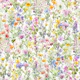 Sea of Wildflowers on white