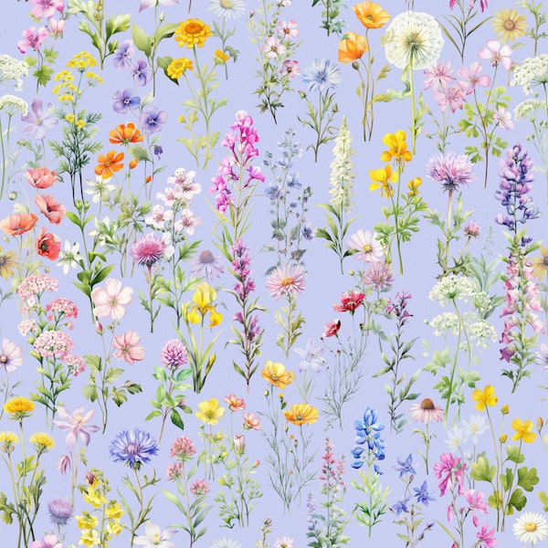 Wildflowers wallpaper on blue