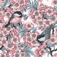Cherry blossom and chickadees on white wallpaper