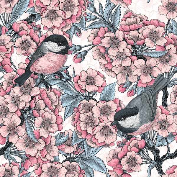 Cherry blossom and chickadees on white