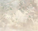 Peony Cotton Clouds Cream