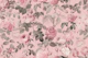 Pierre-Joseph Redoute Vintage French Roses
