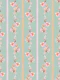 PASHMINA PAISLEY- STRIP 4
